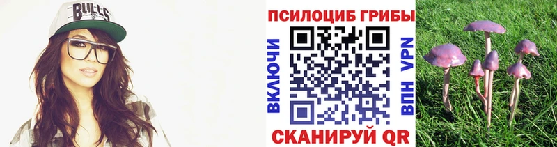 Галлюциногенные грибы Psilocybine cubensis  МЕГА рабочий сайт  Власиха 